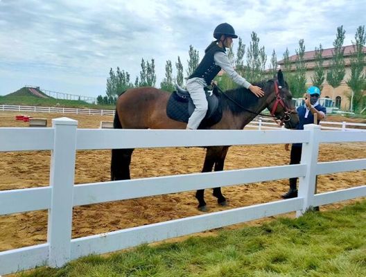Zware 3Rails PVC paarden hek voor boerderijen en ranches