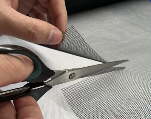 Roestvrij staal 304/316 beveiligingsraam 10-16 gaas