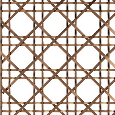Gebouwd met op maat gemaakte kleuren Exterior Decorative Mesh Panel Anodisated Architectural Mesh