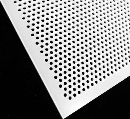 Witte Geperforeerde Mesh Panel Thin Sheet For het Voedselindustrie van pvc Plastiek