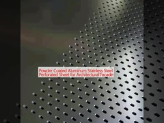 Poederbedekte aluminium-roestvrijstalen geperforeerde plaat voor architectonische gevels