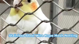 Hoe kies je het geschikte roestvrijstalen kabelgaas?