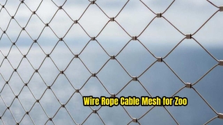 De toepassing van roestvrij staal 316 dierentuinvogelvolièregaas