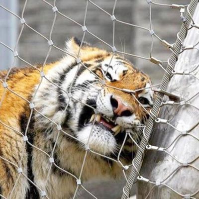 Roestvrij staal dierentuin gaas hek hoge sterkte draad touw net