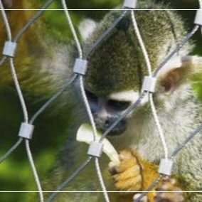 316 roestvrij staal draad touwnet voor dierentuin dierenhokken