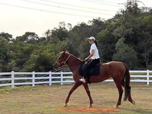 Waterdicht buitenste vinyl plastic voor ranch hek paddock hek