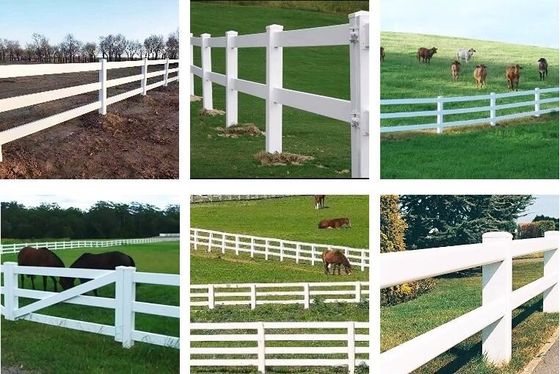 De witte Boerderij van Mesh Fence For Paddock Horse van de Kleuren Vinyl Gelaste Draad