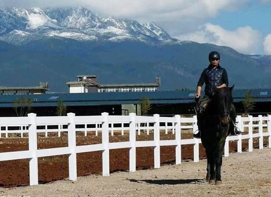 Gemakkelijk te monteren 2 Rails 3 Rails 4 Rails Wit Plastic Paarden Ranch Fechten