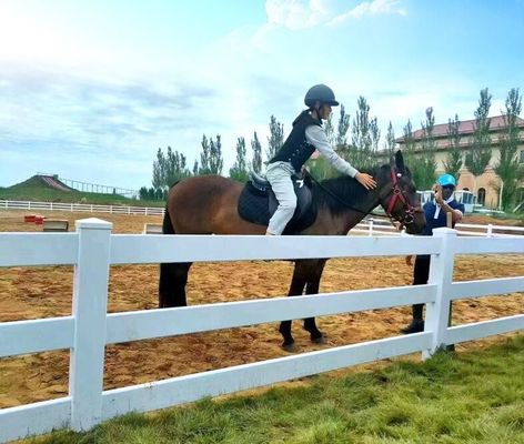 vee vinyl 3 rails PVC 2 rails paard paddock boerderij hek post ranch