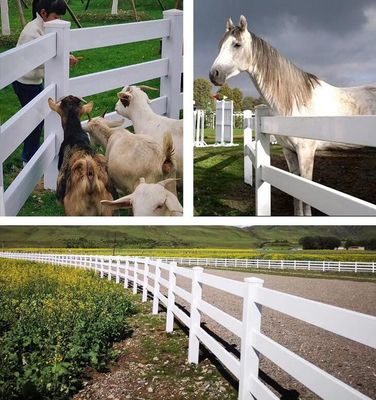 Duurzaam Wit Vinylpaard die 3 Sporenontwerp schermen