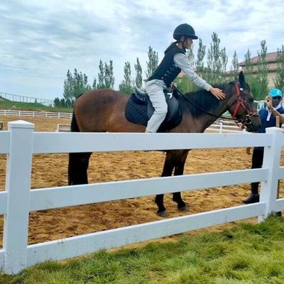 Witte 3rails PVC paarden hek Stabiel kunststof paarden veld hek