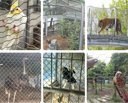 304 roestvrij staal kabelnet Zwarte oxidatie voor dierentuin vogelhuis