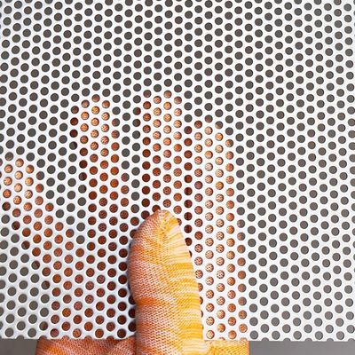 Roestvrij staal klein gat geperforeerd gaas voor luidspreker roosterplaat