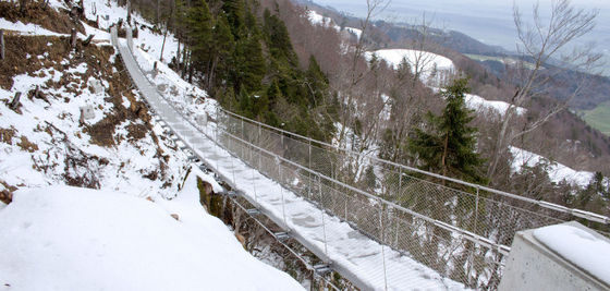 Handcrafted 2mm Stainless Steel Rope Mesh with 10 Years Warranty for High Load-bearing Applications