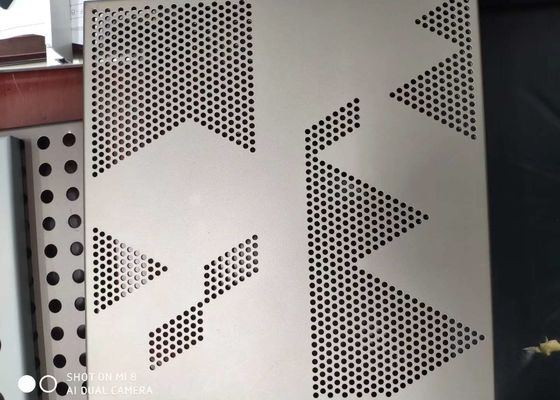 Gepersonaliseerd geperforeerd metalen gaas voor filtratie en decoratie