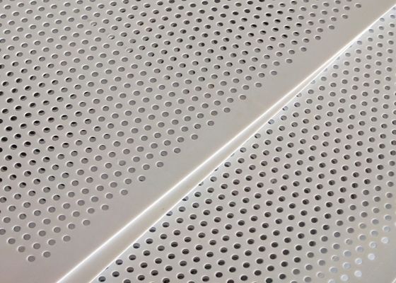 Witte Geperforeerde Mesh Panel Thin Sheet For het Voedselindustrie van pvc Plastiek