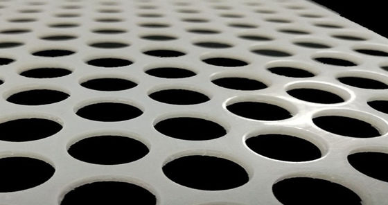 Wit PVC geperforeerd gaaspaneel 0,3-10mm voor de voedingsindustrie