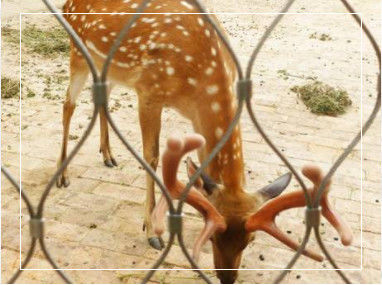 Handgeweven flexibel roestvrij staal touwnet met aanpasbare afmetingen voor balustrade en dierentuin