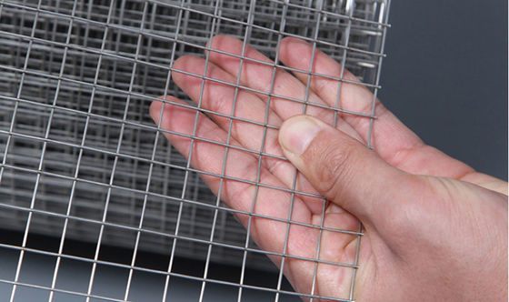 25x25mm Gegalvaniseerde Gelaste Gaaspanelen voor Decoratieve Omheining