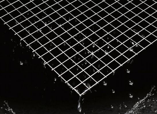 25x25mm Gegalvaniseerde Gelaste Gaaspanelen voor Decoratieve Omheining