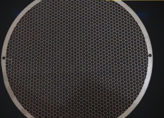 Roestvrij staal etsen mesh Thee Filter 0.04-0.5mm Geen Burrs