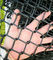 Pvc bedekte het Zwarte Gegalvaniseerde Gebied van de Omheiningsdiamond shape wire mesh sports van de Kettingsverbinding met een laag