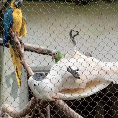 Roestvrijstalen touwnet met diamantvormige gaten, UV-bestendig en 10 jaar garantie voor dierentuinhekken en volières