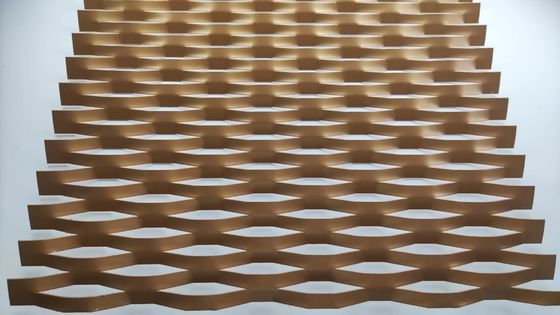 De bouwbescherming van de het Netwerkcorrosie van het Decoratiepvdf Aluminium Uitgebreide Metaal