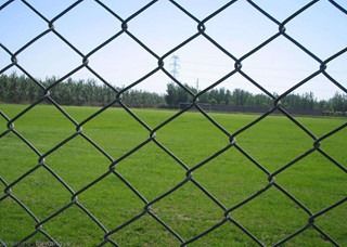 11.5 bedekte maat Groen pvc de Gegalvaniseerde Verbinding die van de Staalketting 20m 30m schermen met een laag